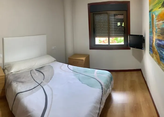 Zoqueiro1